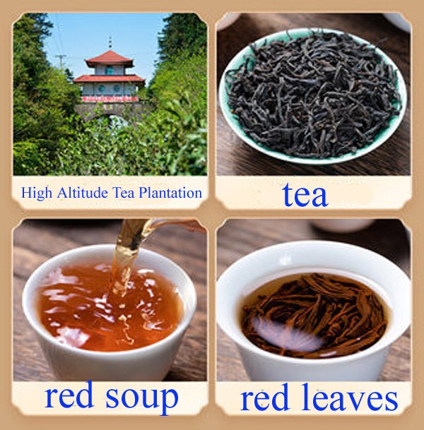 LIONRHK TEA - [Black Tea] Lapsang Souchong